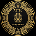 Aztec Black Corn Seeds